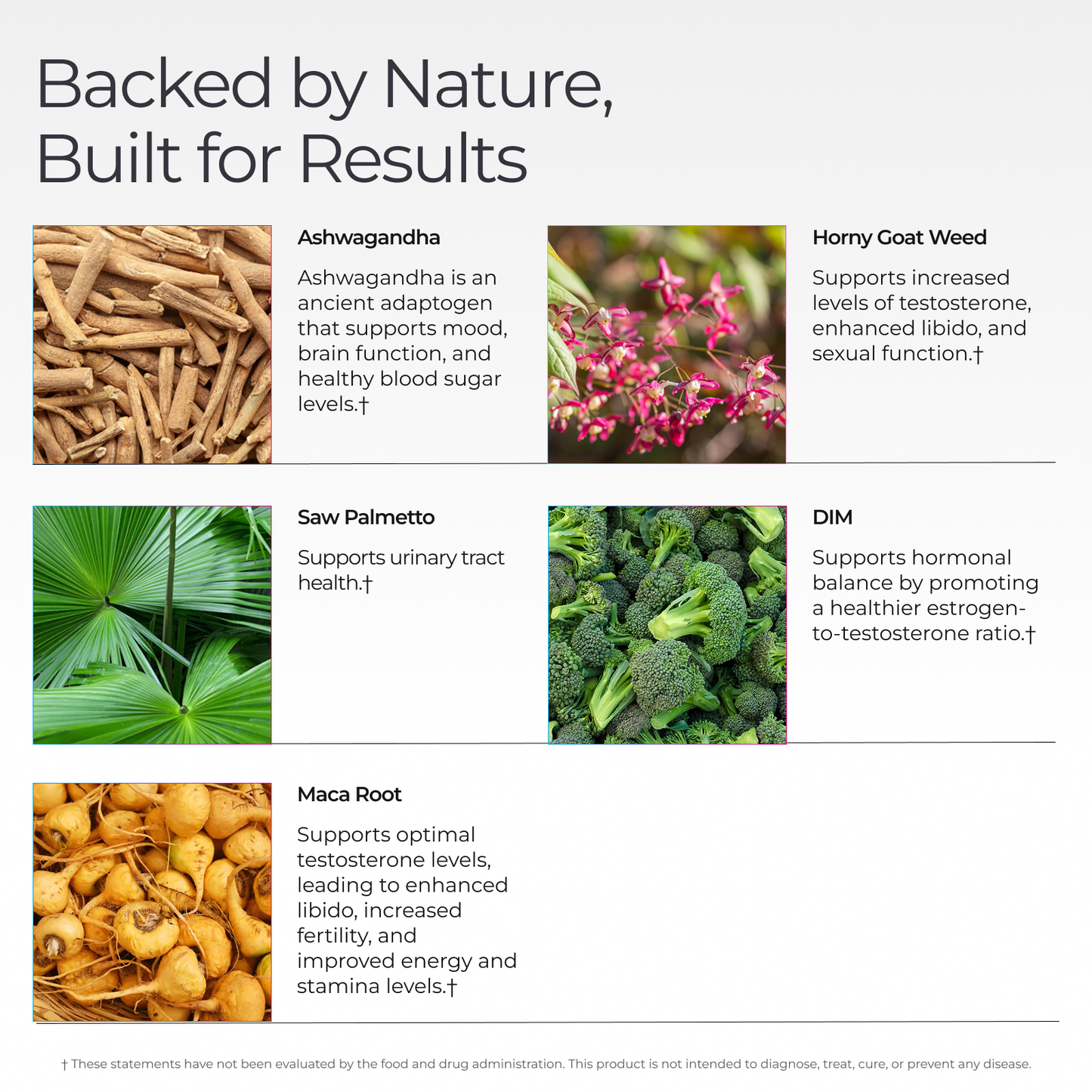 Livingood Daily Men's Hormone Support
