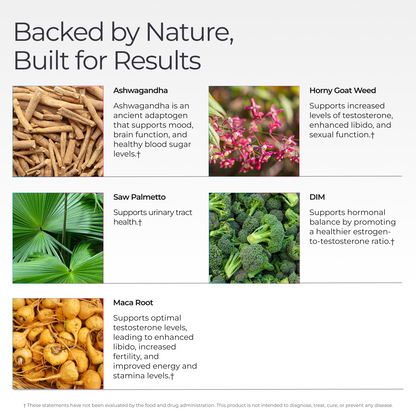 Livingood Daily Men's Hormone Support